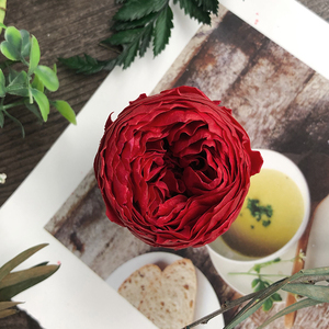 永生花奥斯汀渐变玫瑰干花手工七夕礼盒玻璃罩材料包大地农园