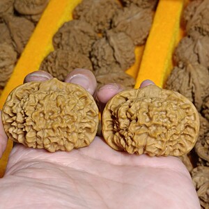 矮桩大肚磨盘桩型官帽王勇麒麟纹精品特大49mm一物一图文玩核桃大