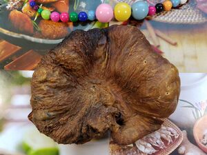 牛胞衣 牛胎盘 正品牛包衣 中药材 牛胞衣粉 牛胎盘粉 妙玉堂包邮