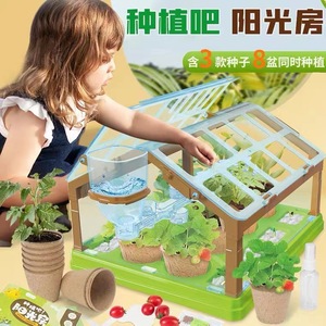 阳光房种植儿童种菜玩具科学小实验盆栽手工diy材料创意植物花房