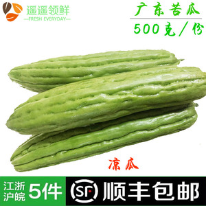 新鲜广东苦瓜食用凉瓜凉拌炒菜微苦产地瓜500克/份