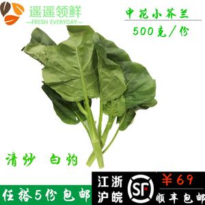 witxq淘宝新鲜蔬菜小芥蓝 广东小芥兰 格蓝菜 500g 满5件多省包邮75