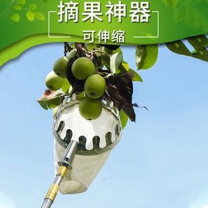 摘果神器伸缩杆树上高空不锈钢摘水果枇杷杨梅芒果李子香椿杏采果