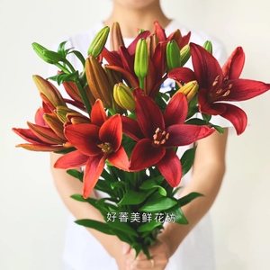 红宝石百合花(无香)百合鲜花 家用插花上海直批 顺丰女神节礼物