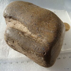 草化玉雕料 水冲硅化木 天然石头 玉化蕨类木化石原石 893克