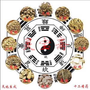 正品十二精药神像佛像装藏宗教用品除秽包精品60克结缘价