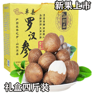 山东单县罗汉参鲁参园罗汉参礼盒香芋香栗参海门香芋礼盒