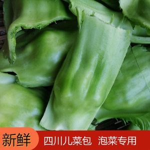 四川特产儿菜包包大叶青菜邦新鲜泡青菜青菜梗包包泡酸菜专用青菜