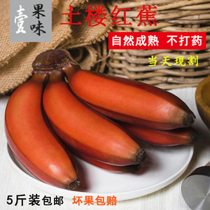 福建漳州红美人香蕉新鲜 水果包邮当季红皮香蕉非粉蕉小米蕉
