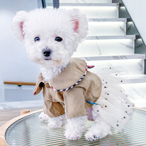小狗狗衣服春夏装泰迪比熊博美小型犬幼犬宠物可爱公主蕾丝裙cqw