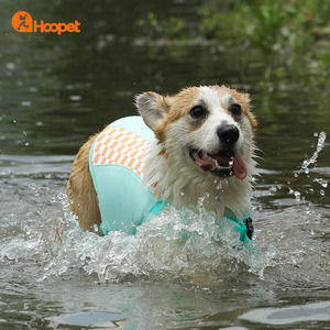 狗狗救生衣夏季宠物狗大型中型犬柯基柴犬浮力衣游泳衣服夏天泳衣