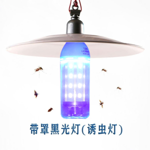 led诱虫灯户外螺口灯泡12v48v鱼塘养殖水产养蛙太阳能引虫黑光灯