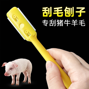 刮猪毛刀架刮猪肉牛羊狗毛刨子剃猪蹄猪脸神器塑料去毛工具卖肉用