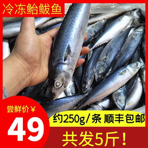新鲜鲐鲅鱼 整条海鲜活冷冻 5斤青占鱼燕鱼青花鱼生鲜顺丰包邮