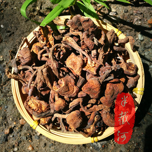 东北山货庄