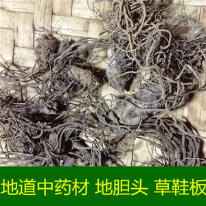 地胆头草鞋板野生中药材红花地斩头苦地胆丁茄夫地胆草500g包邮
