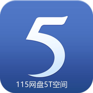 115网盘永久空间扩容卡 115云盘扩容5t空间卡 可叠加