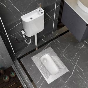 厕盆蹲坑家用蹲厕式