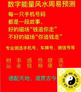 测号 手机号车号 吸财旺财 数字能量风水号 专业定制