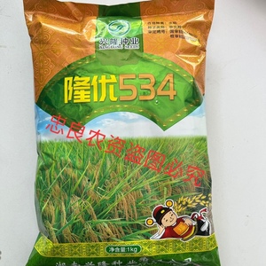 兴隆种业 隆优534杂交水稻种子双季晚稻米质优出米率高抗倒伏正品