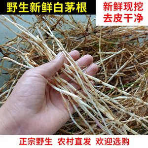 野生白茅根洗净去皮中药材白毛根甜草根凉茶食材竹蔗马蹄湿茅草根