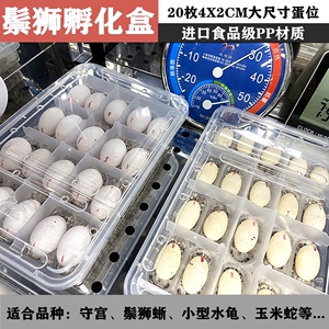 鬃狮蜥蜴孵化盒无介质食品级pp材质孵蛋器20蛋位守宫小宠物孵蛋盒