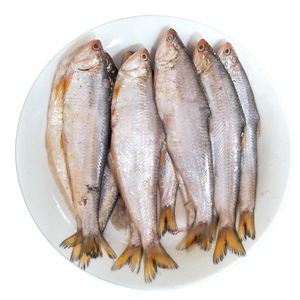 赣榆黄鲫鱼 新鲜 江苏黄尖鱼海鲜包邮500克