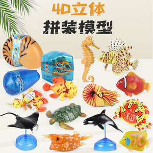 仿真海洋玩具4D拼接立体鹦鹉螺章鲨鱼鲸鱼螃蟹海马小丑鱼动物模型