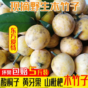 新鲜野生竹节果酸桐子木竹子竹桔果黄牙果山枇杷孕妇水果5斤 包邮