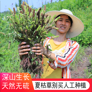 夏枯草凉茶