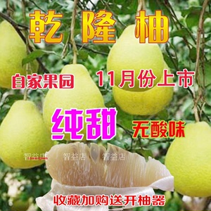 纯甜柚子广西特产正宗容县沙田柚柚子特级水果乾隆柚自家果园16斤