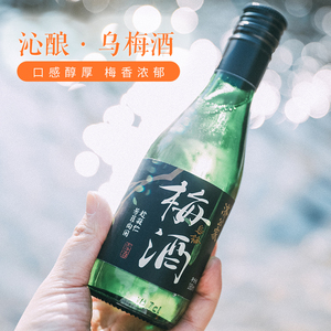【满2件8折】济公家乌梅酒10度180ml梅子露酒 女士果酒浸泡酒
