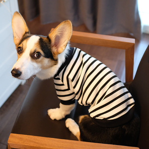 柯基狗狗衣服春秋薄款小型中型犬春季春天防掉毛宠物条纹秋季卫衣