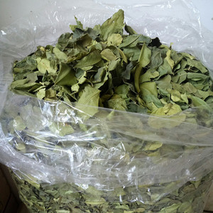 皱皮柠檬叶粗皮干柠檬叶毛里橙叶酸柑叶冬阴功底料泰国冬阴功汤