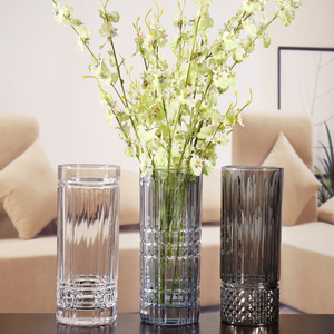 美式透明玻璃花瓶彩色圆筒富贵竹插花直筒花瓶客厅餐桌面摆件装饰