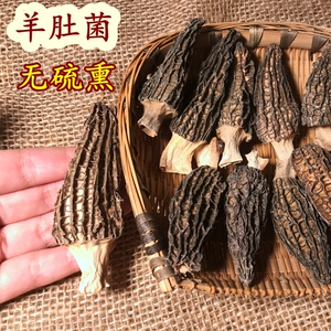 四川雅安羊肚菌干货50g 无硫新鲜编笠菌羊肚菜羊肚蘑 中大号 煲汤