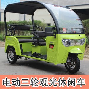 电动三轮车带蓬城市观光旅游车企鹅款休闲车半封闭