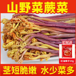 鲜清水蕨菜凉拌专用龙爪菜脆嫩鲜厥菜贵州火锅麻辣烫食材决菜商用