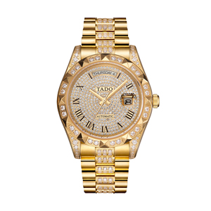 天舵新款男士手表精钢商务男表满天星镶钻防水表男式自动机械腕表