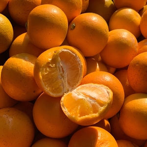 湖南麻阳正宗冰糖橙新鲜10斤装小橙子非江西水果产地整箱直发包邮