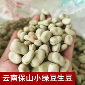 云南保山绿心小蚕豆5斤原味散装农家怀旧零食小吃生蚕豆500g特产