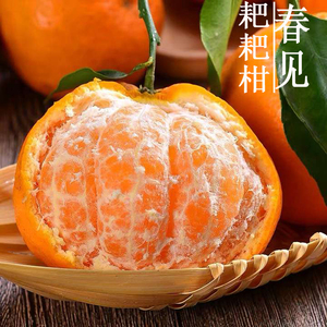 正宗蒲江春见耙耙柑丑橘特级大果四川粑粑柑新鲜水果当季现摘斤10