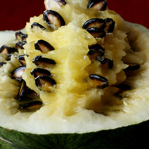 00同款货源tb344602092淘宝甘肃民勤籽瓜戈壁滩特