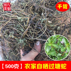 新晒过塘蛇 中草药过塘蛇 过江龙 新鲜过江藤鱼鳔草干品500g 包邮