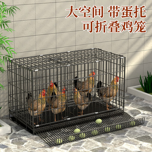 鸡笼自家用大号包邮养殖笼家用清仓养鸡笼子自动滚蛋鸡笼子蛋鸡笼