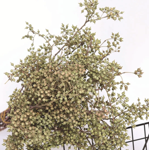 小米果自然干花真花小绿果浮游花家居装饰
