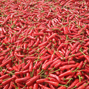 王中王辣椒