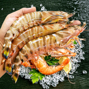 00kpc小超超淘宝特大野生大虾斑节虾海鲜花虾东山岛深海捕新鲜活九