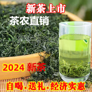 2024新茶江西遂川狗牯脑茶叶散装春茶特级绿茶高山云雾250克/罐