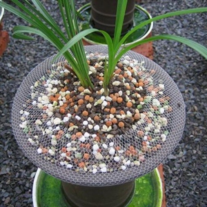 兰花盆网套塑料兰花盆网套 满40米包邮【冯达锋国兰】